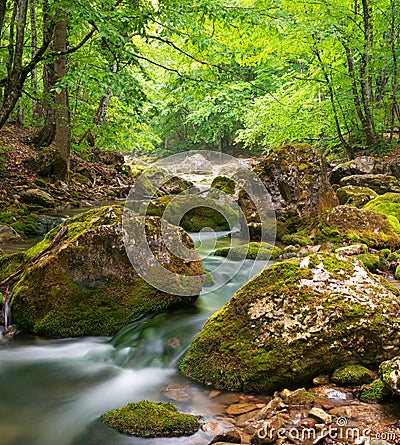 Spring river in canyon Stock Photo