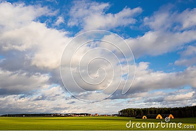 A spring rural landscape with green winter crops, a village in t Stock Photo