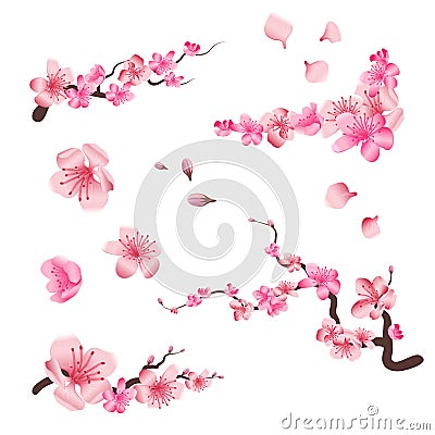 Spring sakura cherry blooming flowers, pink petals and branches vector set for your own design Vector Illustration