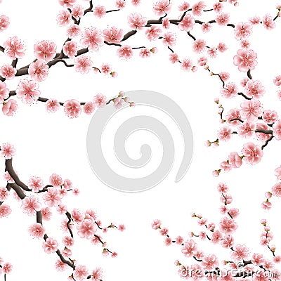 Spring sakura flowers. EPS 10 Vector Illustration