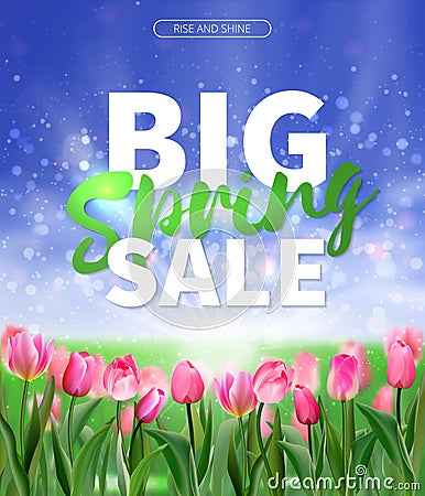 Spring sale Background with tulips and daisies EPS 10 vector royalty free stock illustration for greeting card, ad Vector Illustration