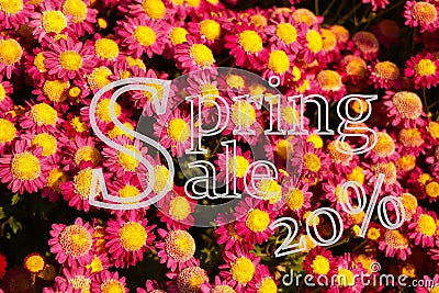 Spring sale Promotional banner background with colorful flower for Special spring offer 20 off. Stock Photo