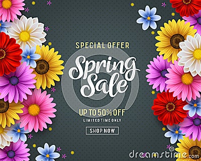 Spring sale and special offer vector banner background with colorful chrysanthemum and daisy flowers Vector Illustration
