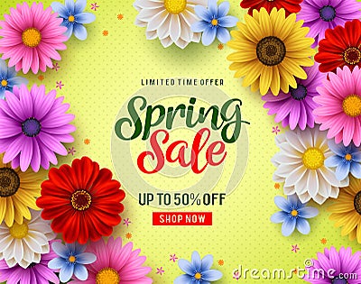 Spring sale vector banner with colorful chrysanthemum and daisy flowers elements Vector Illustration