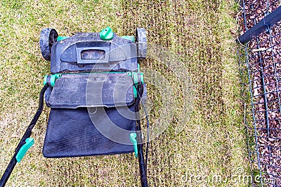 Spring scarifying the lawn Stock Photo