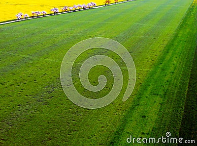 Spring scene with blooming trees and fields Stock Photo