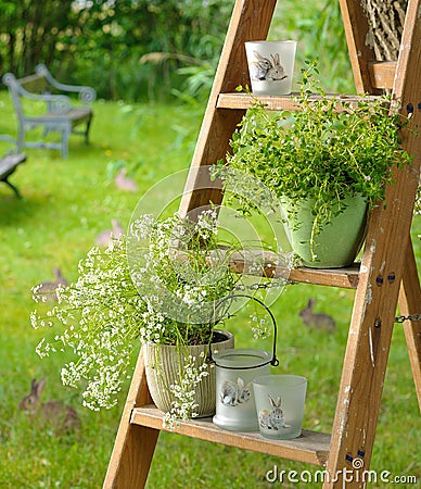 Spring scene weathered ceramic pots colourful plant flowers on steps country stairs breakfast in the garden. Stock Photo