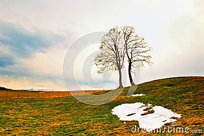 Spring scenery Stock Photo