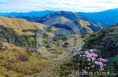 Spring scenery of beautiful Hehuan Mountain in central Taiwan, with a panoramic view of a majestic mountain range in background & Stock Photo