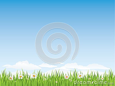 Spring seamless grass and flowers Vector Illustration