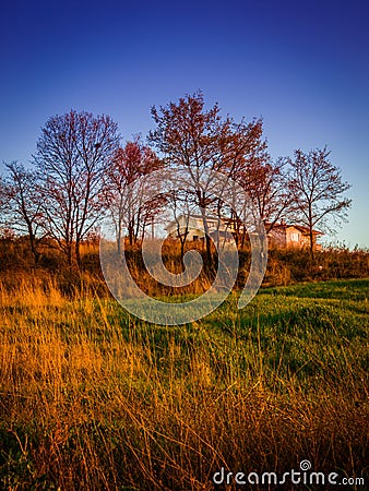 Spring Season Natural Landscape Stock Photo