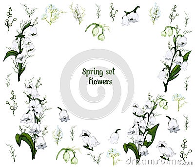 Hand-drawn set with flowers of the Lily of the valley, primrose. realistic Doodle isolated on white background. Botanical elements Vector Illustration