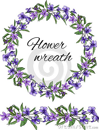 Spring set of floral patterns, ornaments and vector wreaths of delicate violet flowers to decorate cards, design greetings Vector Illustration