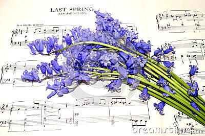 Spring Sheet Music And Bluebell Flowers Stock Photo