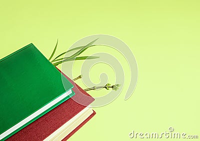 Spring shoots on branches and grass come out of the pages of books. Shot from above Stock Photo