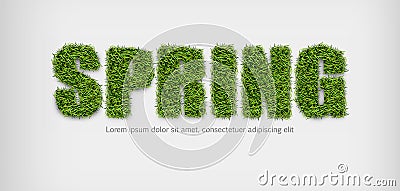 Spring sign in green grass Vector realistic. Spring sales banner on white backgrounds Vector Illustration