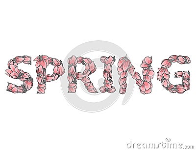 SPRING sign or lettering made with sakura flowers and leaves Vector Illustration