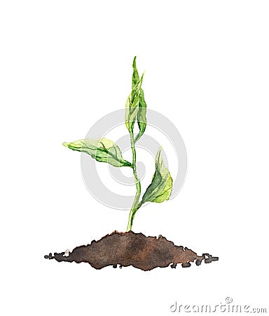 Spring sprout - green growing plant. Watercolor Cartoon Illustration