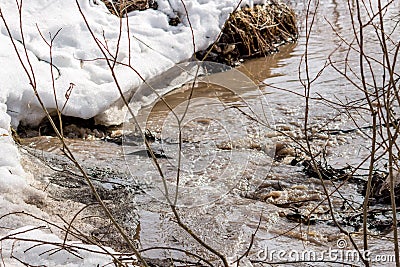 Spring stream, snow melting Stock Photo