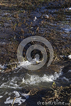 Spring stream and thawed soil Stock Photo