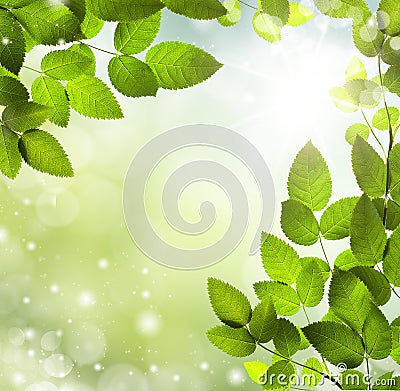 Spring or summer abstract background with bokeh lights. Stock Photo