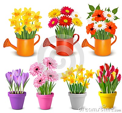 Spring and summer colorful flowers in pots Vector Illustration