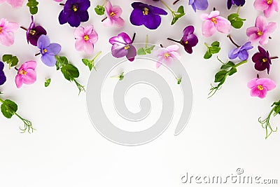 Spring or summer flower composition with edible violets and micro greens on white background. Flat lay, copy space. Healthy life Stock Photo