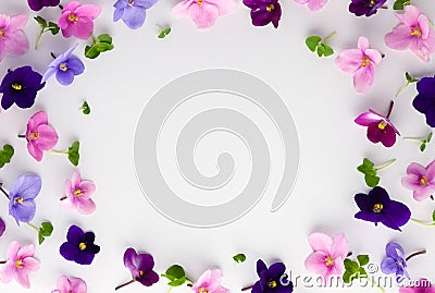 Spring or summer flower composition with edible violets on white background. Flat lay, copy space. Healthy life and flowers Stock Photo