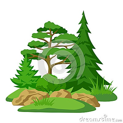 Spring or summer forest. Background with stylized trees. Seasonal illustration. Vector Illustration