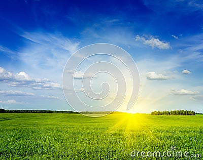 Spring summer green field scenery landscape Stock Photo