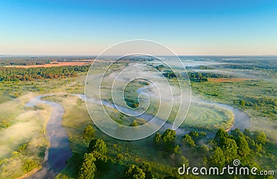 Spring or summer landscape Stock Photo