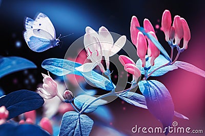 Spring and summer natural background. Beautiful blue butterfly on a background of pink flowers and buds in the spring garden. Stock Photo