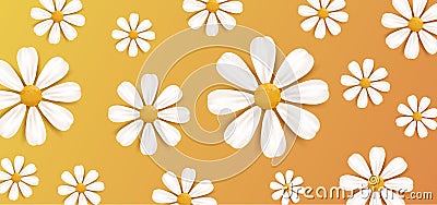 Spring or summer nature background with white realistic daisy flowers decor ornament pattern Vector Illustration