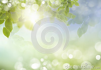 Spring or summer season abstract nature background Stock Photo