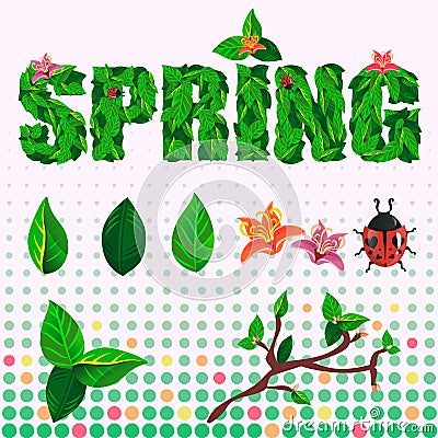 Spring and summer set of text, flowers, leaves and Ladybug Vector Illustration