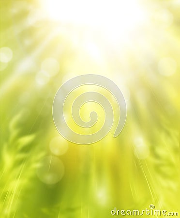 Spring sunny floral background Stock Photo