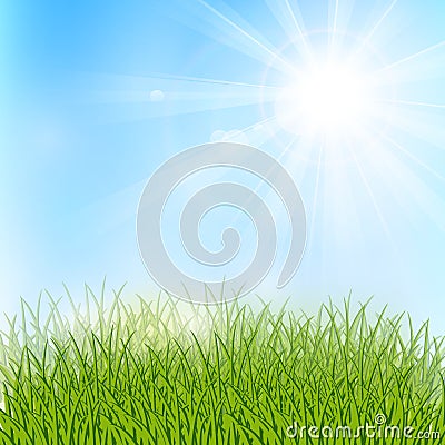 Spring sunny meadow Stock Photo