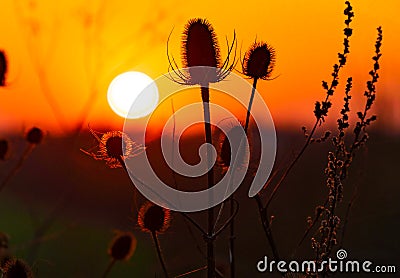 Spring Sunset Over Shortstown Stock Photo