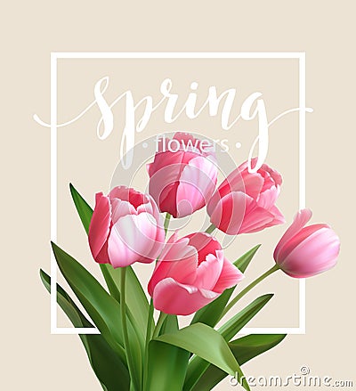Spring text with tulip flower. Vector Vector Illustration