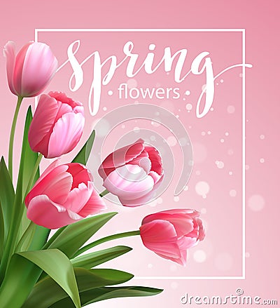 Spring text with tulip flower. Vector Vector Illustration