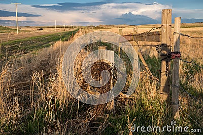 Spring thunderstorm clouds in Saskatchewan with field in foreground Stock Photo