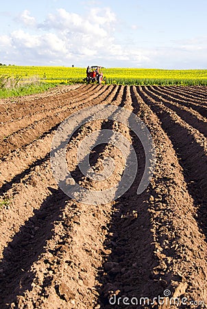 Spring tillage in the ground and tractor Stock Photo