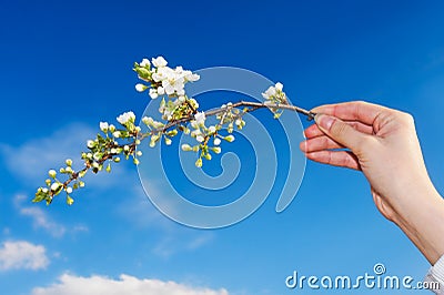 Spring Time Stock Photo