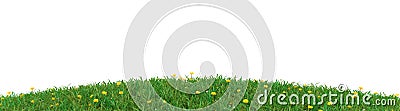Spring time background with grass on white Stock Photo