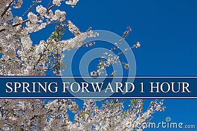 Spring Time Change Stock Photo