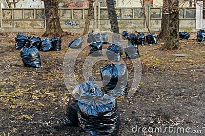 Spring, time for cleaning Stock Photo