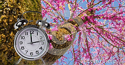 Spring time clock flowers nature space for your text , background Stock Photo
