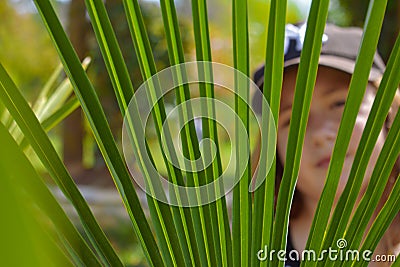 Hidding behind the green leaves Stock Photo