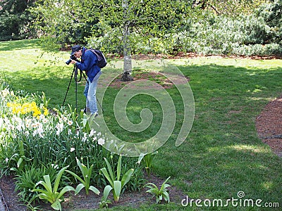 A Spring time photographer Editorial Stock Photo