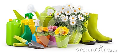 Spring time, pots colorful primroses and daisies, green boots and watering can. Gardening tools, trowel, spray bottles of Stock Photo
